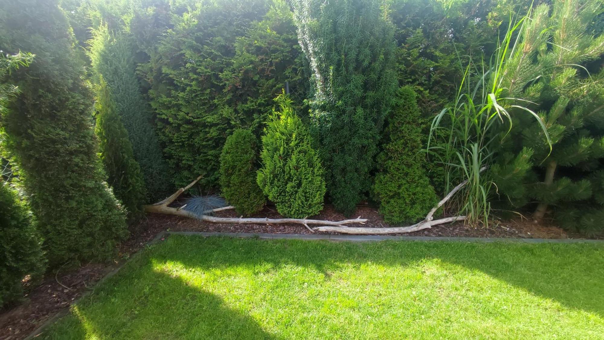 Domki Pozytywki Władysławowo Exteriör bild